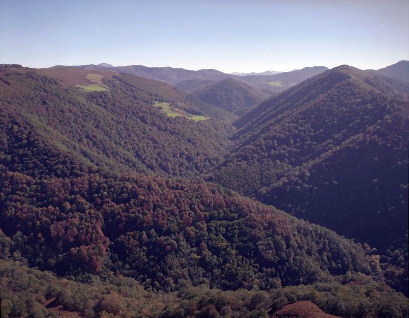 Foto aérea 1996