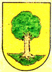 Escudo de Ultzurrun
