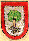 Escudo de Orbaitzeta