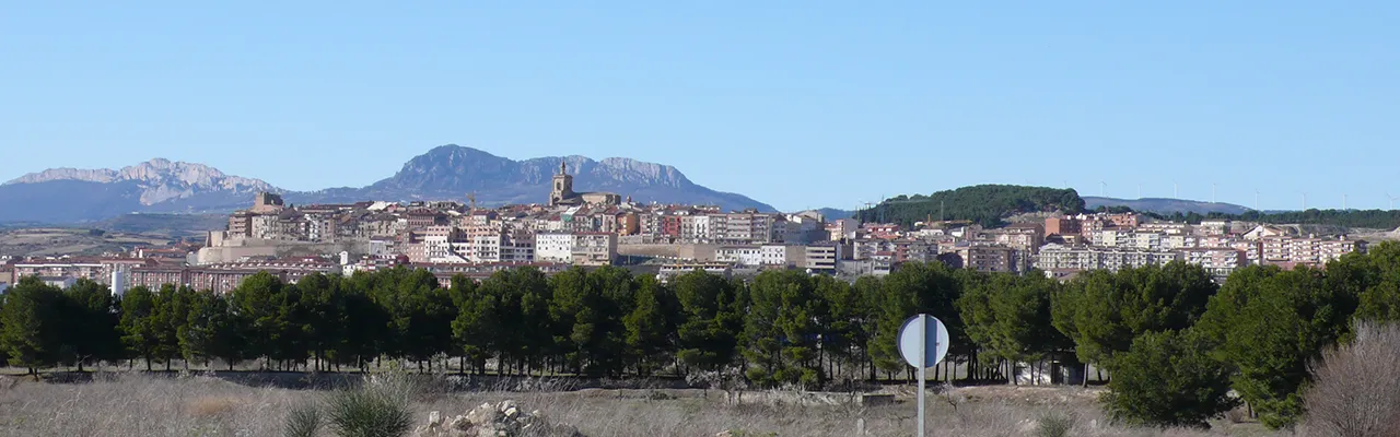 Foto de Viana