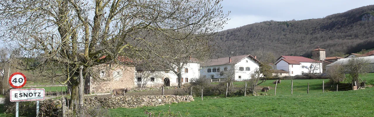 Foto de Esnotz