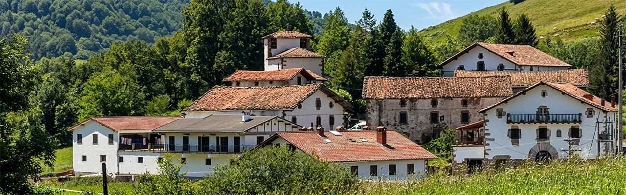 Foto de Aniz
