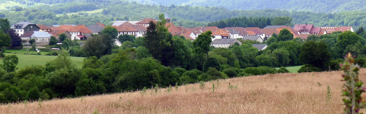 Foto de Auritz / Burguete