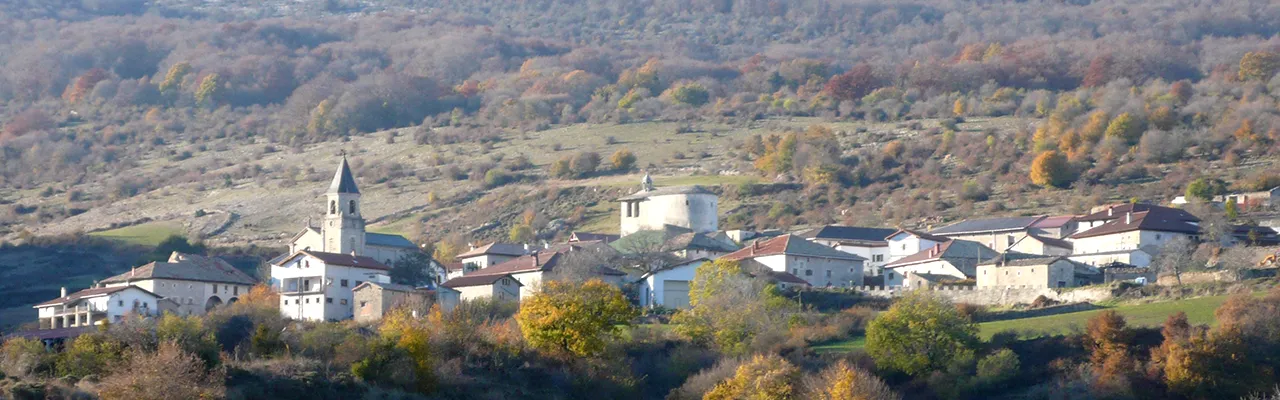 Foto de Goñi
