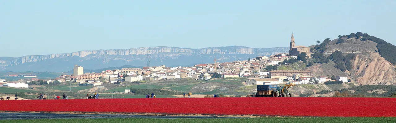 Foto de Larraga