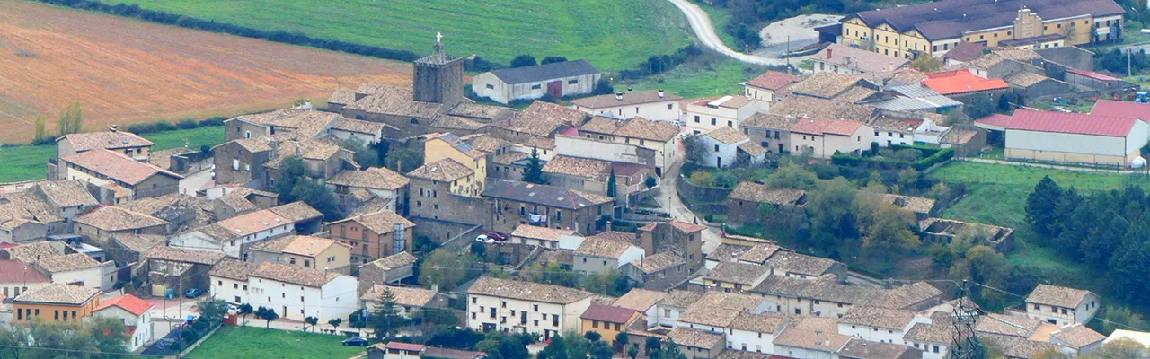 Foto de Liédena / Ledea
