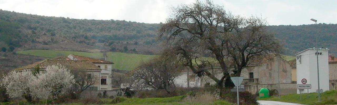 Foto de Metauten