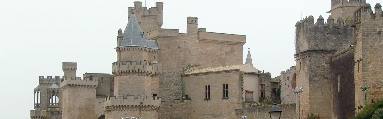 Foto de Olite / Erriberri