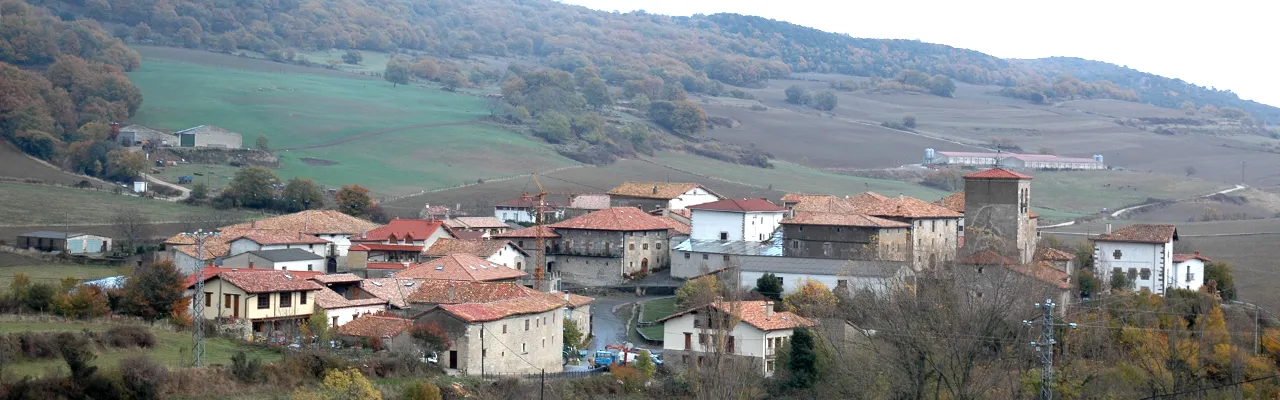 Foto de Ollo