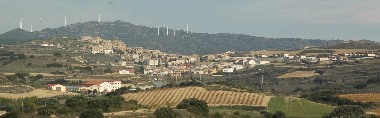 Foto de San Martín de Unx