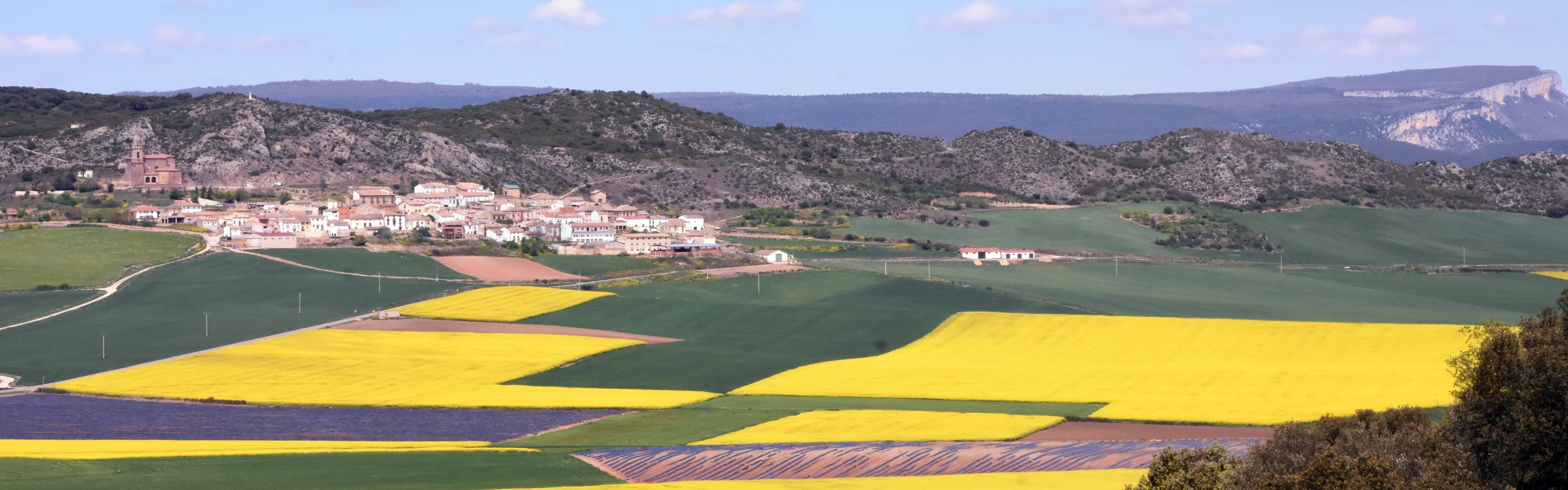 Piedramillera