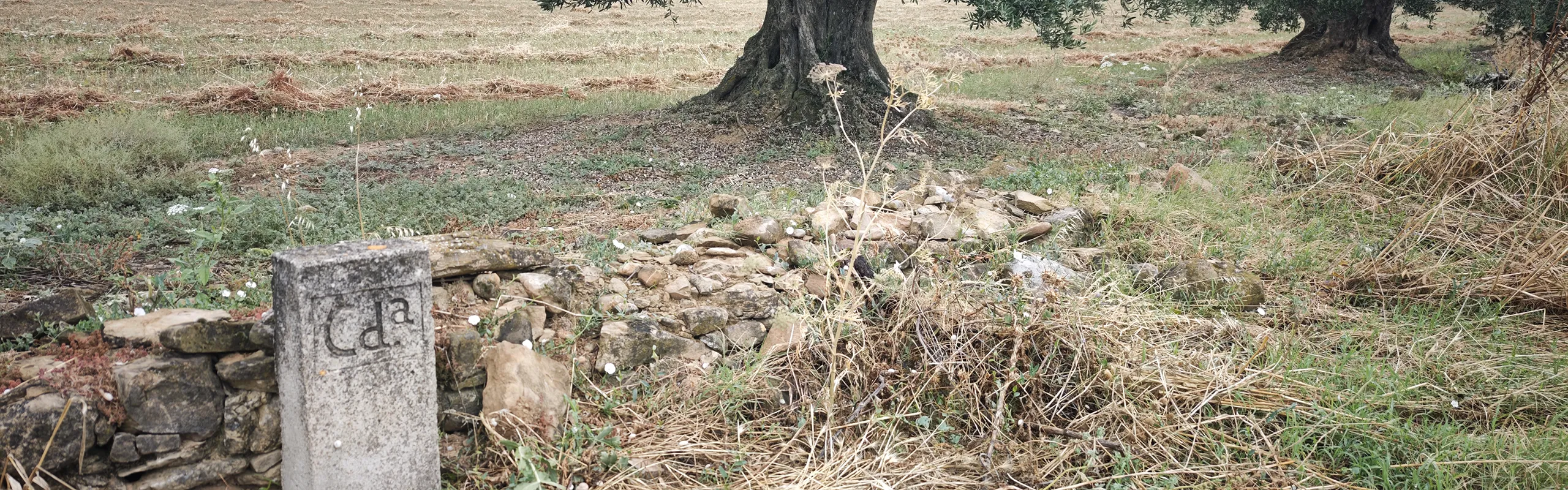 Cañada Roncaleses en Sangüesa