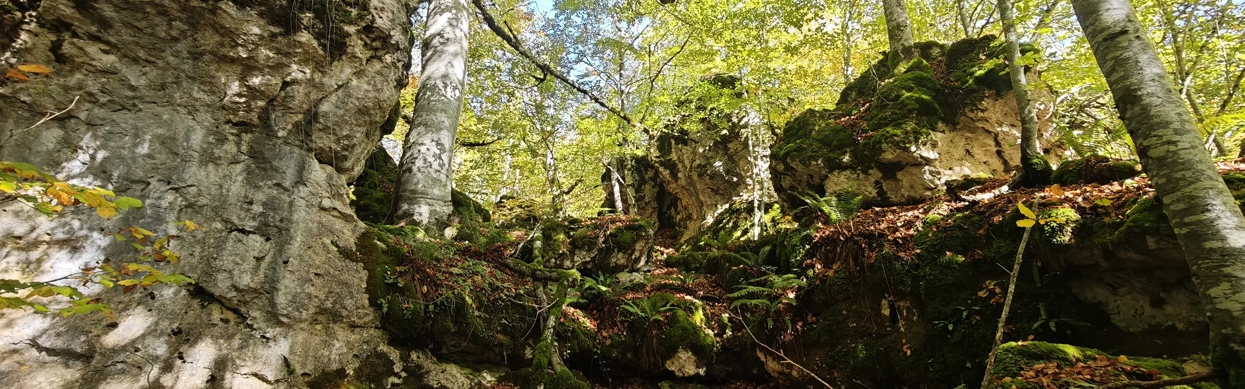 Laberinto de Artea ( Limitaciones)
