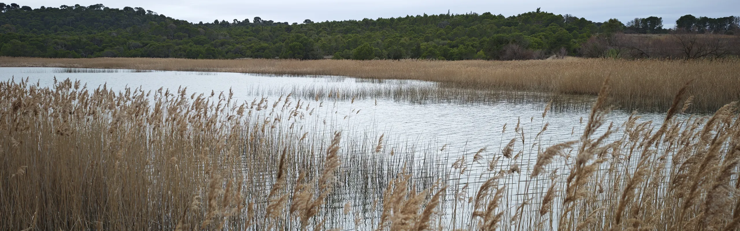 Laguna de Rada