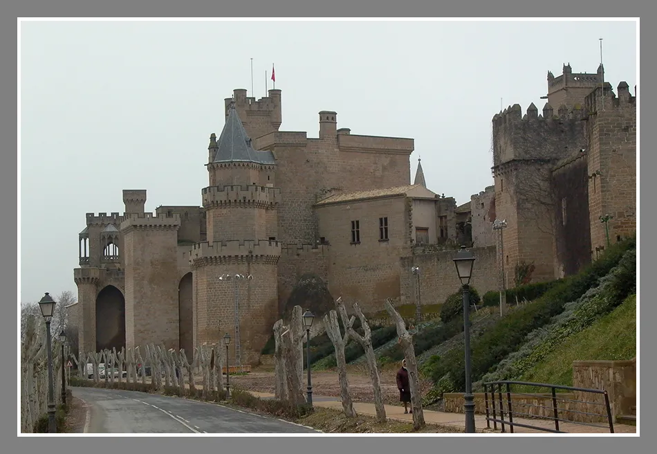 Castillo-palacio  de los Reyes de Navarra