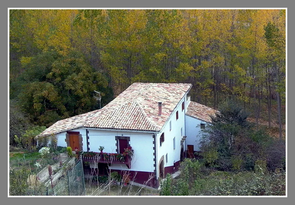 Molino