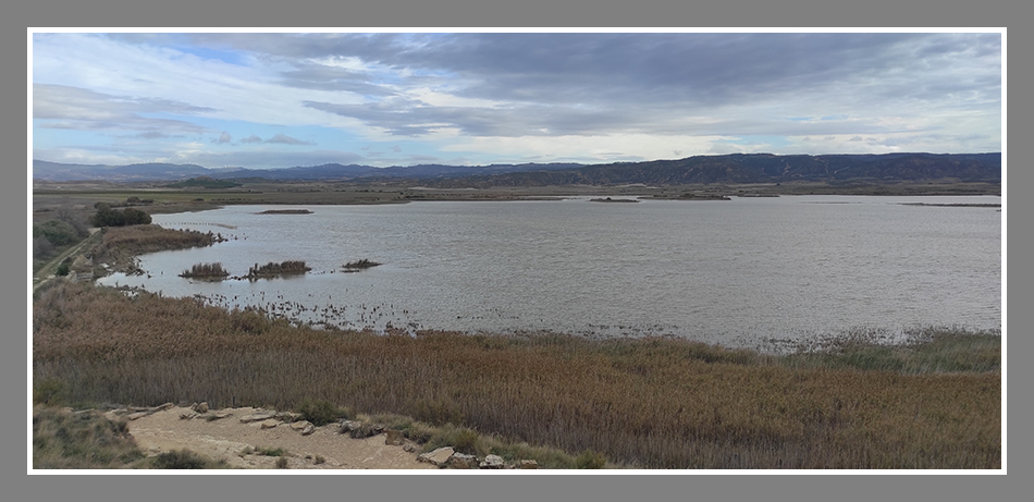 Laguna de Pitillas (B-133)