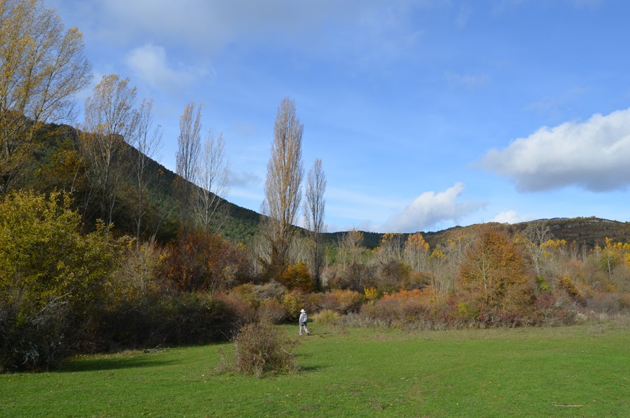 Imagen de la ruta Paseo micológico primaveral por el soto fluvial de Nagore (Valle de Arce)