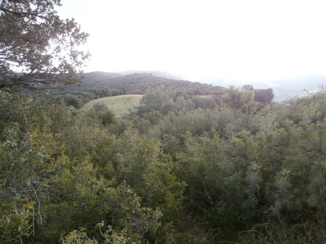 Paseo micológico otoñal por los carrascales de Pueyo (Valdorba)