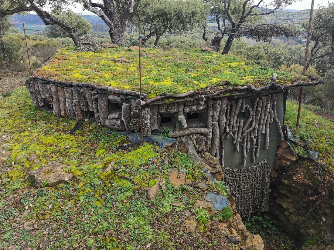Paseo micológico invernal por los encinares de Zufia (Metauten)