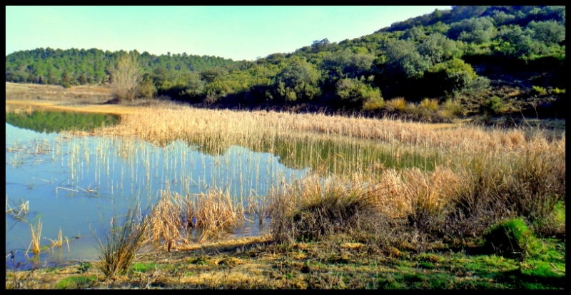Imagen de la ruta Zona Media BTT, Rutas Moderadas