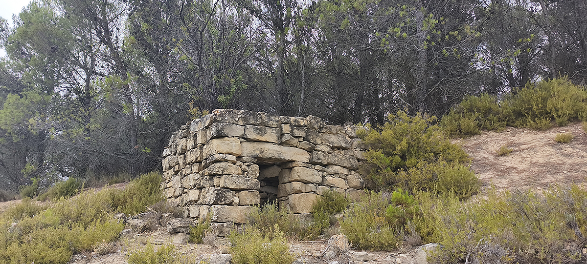 Imagen de la ruta Por las mugas occidentales de Bargota y el Cogote de Hocijo
